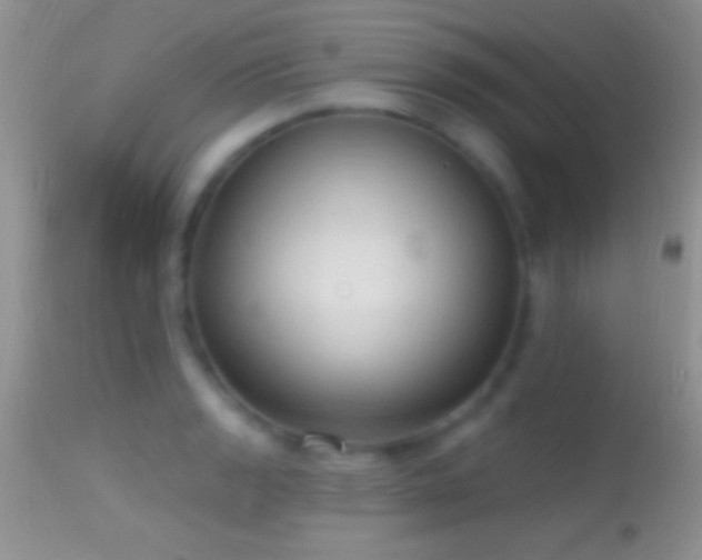 X0000114631133200910201414