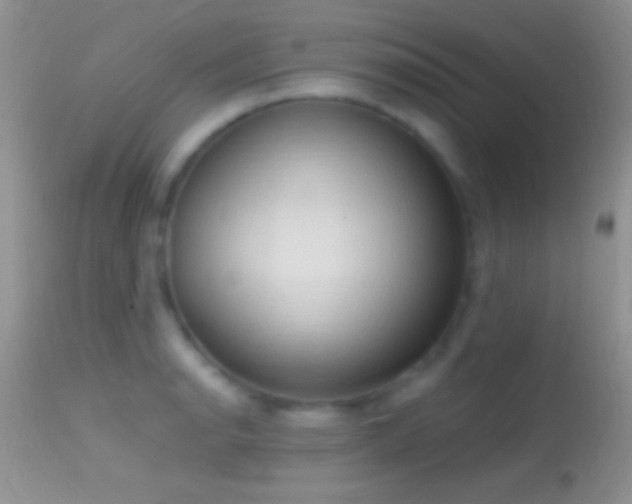 X0000114631134200910201414