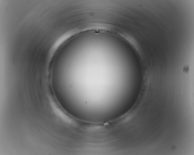 X0000114631135200910201414