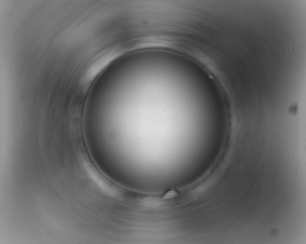 X0000114631137200910201414