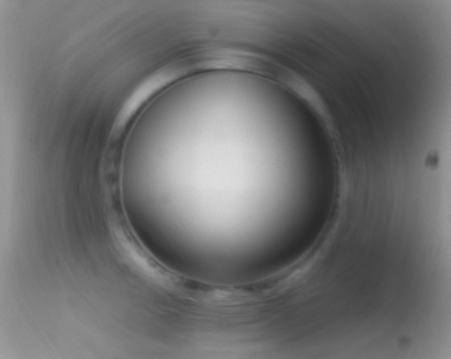 X0000114631138200910201414