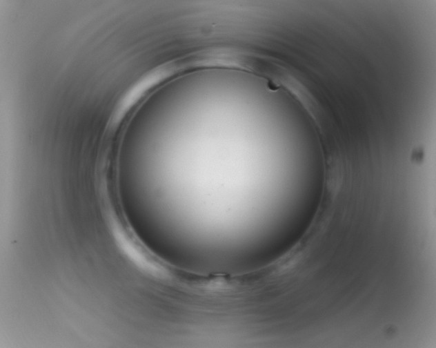 X0000114631139200910201414