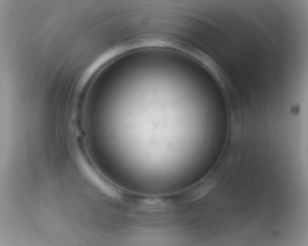 X0000114631142200910201414