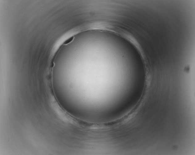 X0000114631146200910201414