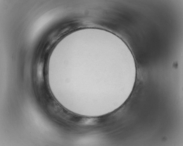 X0000114631150200910201414