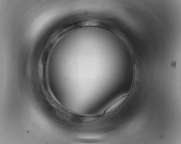 X0000114631151200910201414