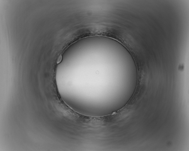 X0000114631153200910201413