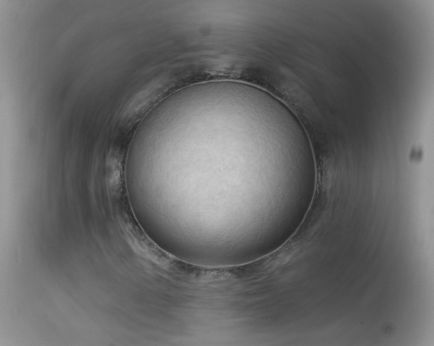 X0000114631154200910201413