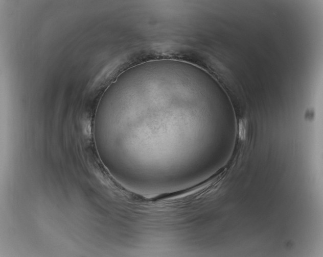 X0000114631155200910201413