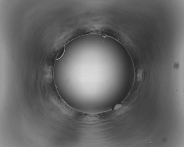 X0000114631156200910201413