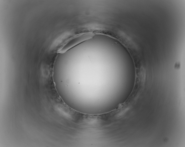 X0000114631157200910201413