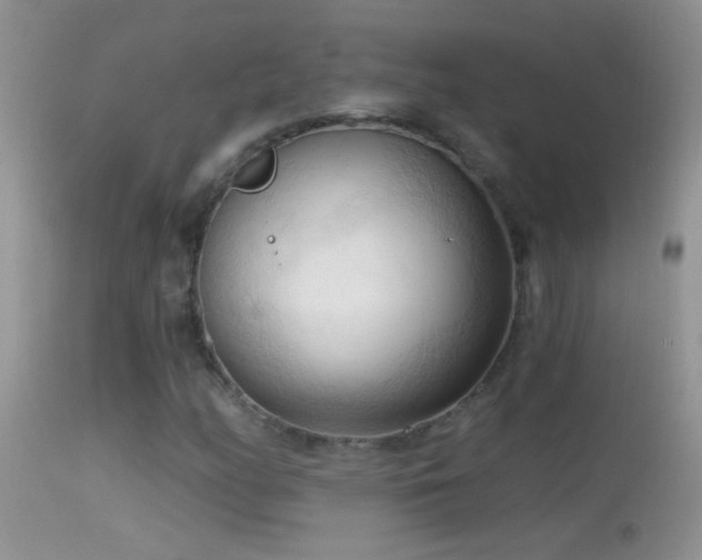 X0000114631158200910201413