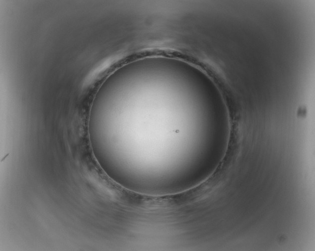 X0000114631159200910201413