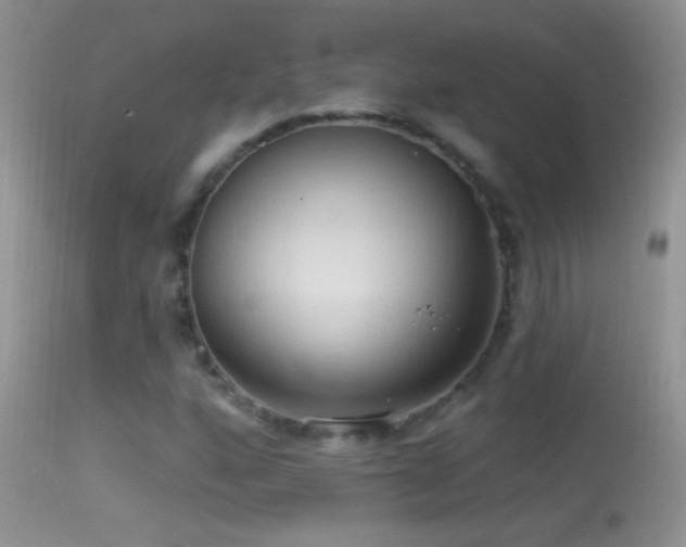 X0000114631160200910201413