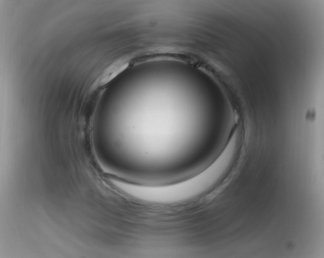 X0000114631161200910201413