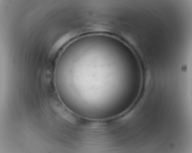 X0000114631163200910201413