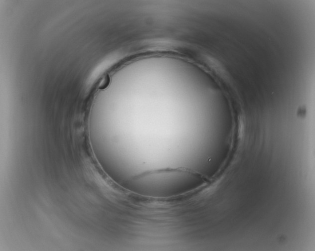 X0000114631164200910201413