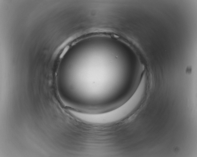 X0000114631165200910201413