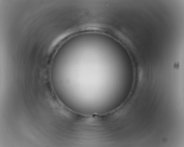 X0000114631166200910201413