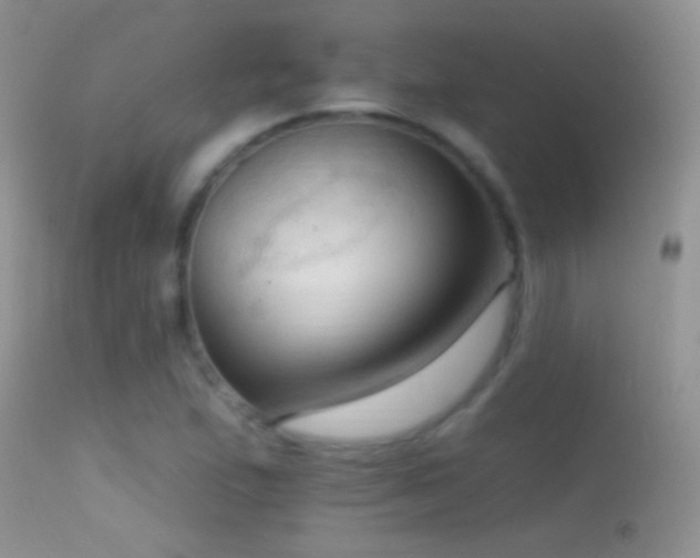 X0000114631167200910201413