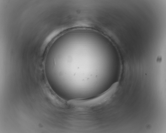 X0000114631168200910201413