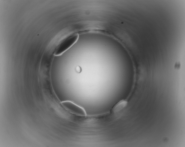 X0000114631169200910201413