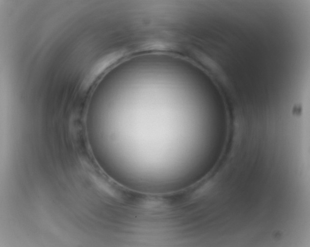 X0000114631170200910201413