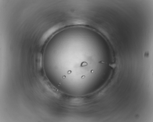 X0000114631171200910201413