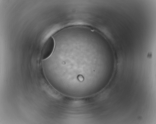 X0000114631173200910201413