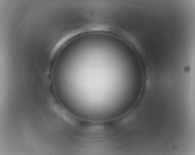 X0000114631174200910201413