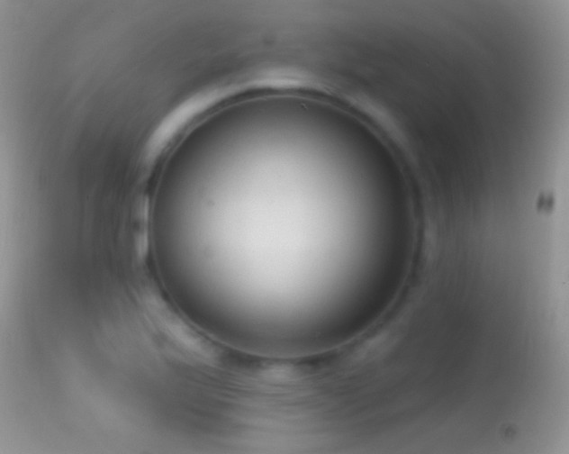 X0000114631175200910201413