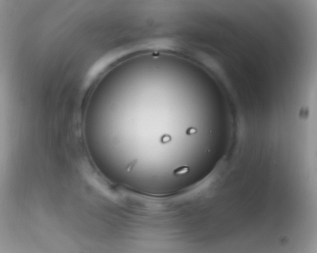 X0000114631176200910201413