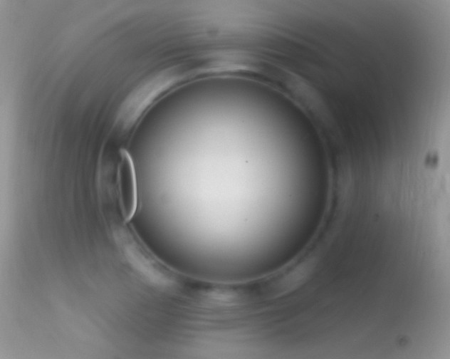 X0000114631177200910201413