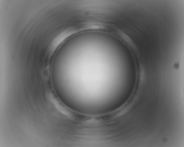 X0000114631178200910201413