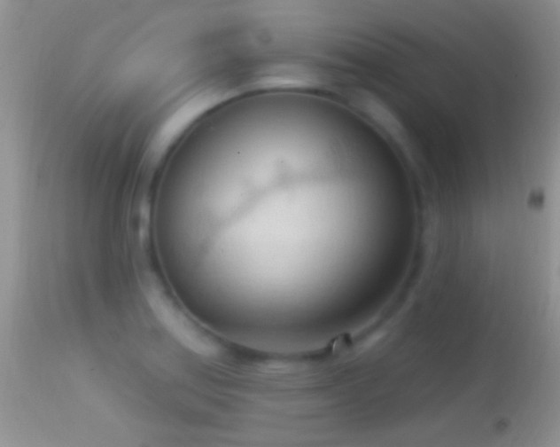 X0000114631179200910201413