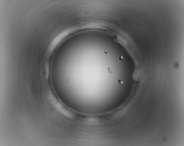 X0000114631180200910201413