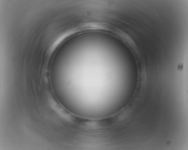 X0000114631182200910201413