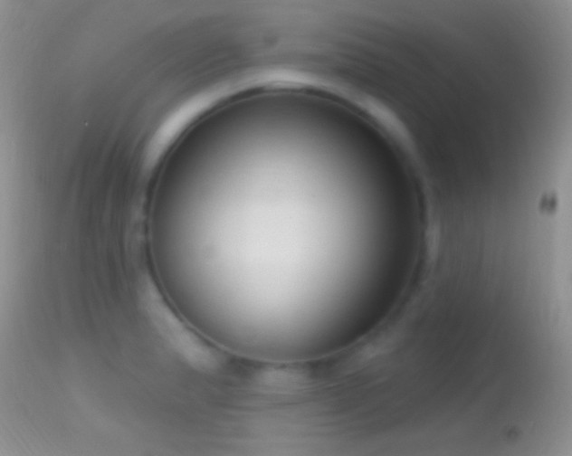 X0000114631183200910201413