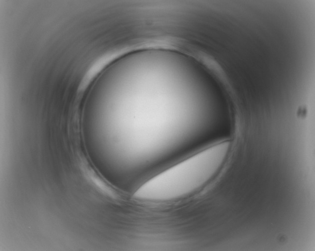 X0000114631184200910201413