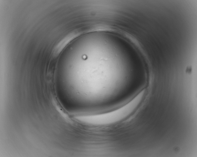 X0000114631185200910201413