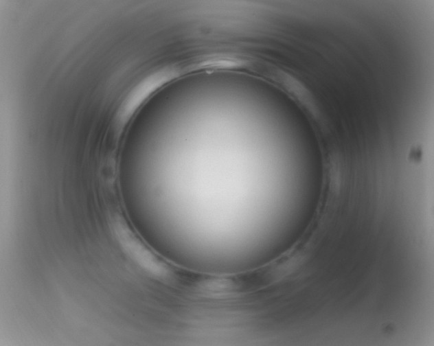 X0000114631186200910201413