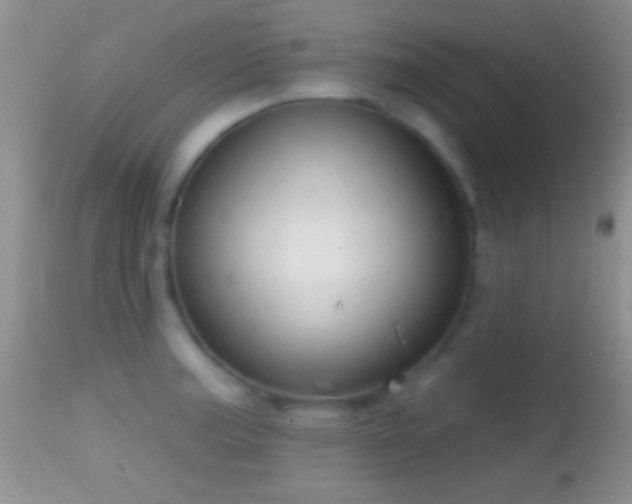 X0000114631187200910201413