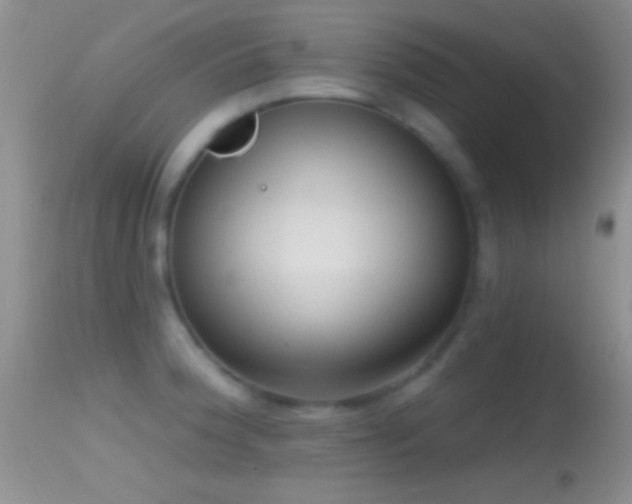 X0000114631188200910201413