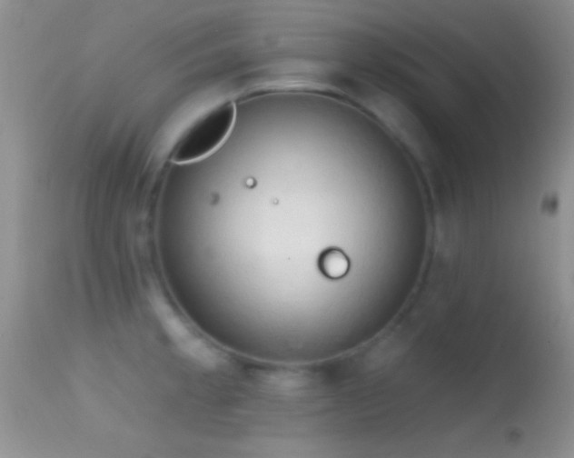 X0000114631189200910201413