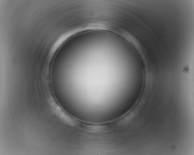 X0000114631192200910201413