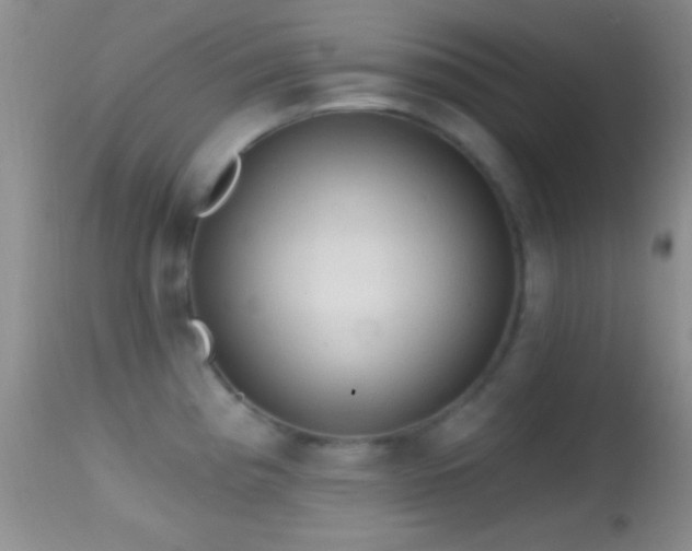 X0000114631193200910201413