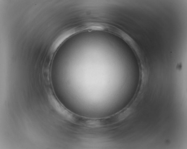 X0000114631194200910201413