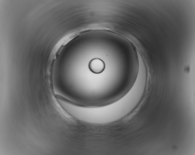 X0000114631196200910201413