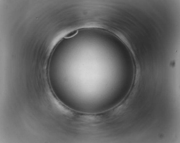 X0000114631197200910201413