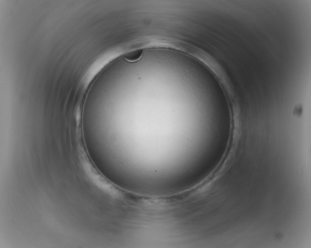 X0000114631198200910201413